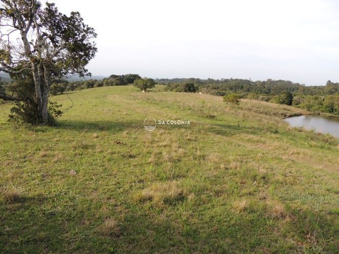 Fazenda, 190 hectares - Foto 25