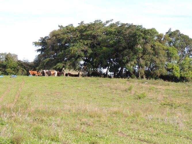 Fazenda à venda com 3 quartos, 1900000square metres - Foto 19