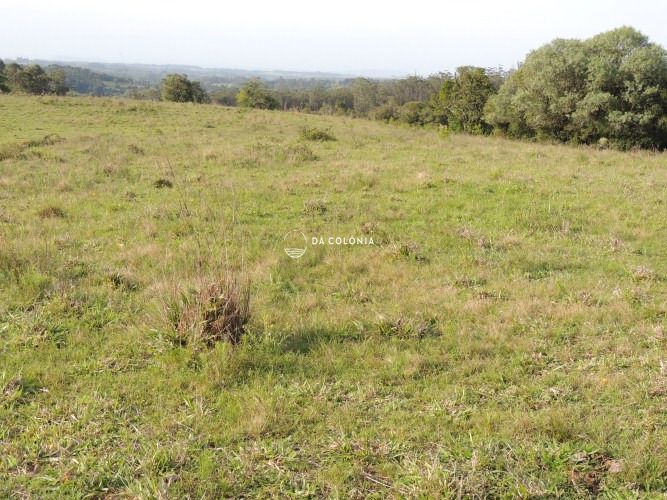 Fazenda, 190 hectares - Foto 14