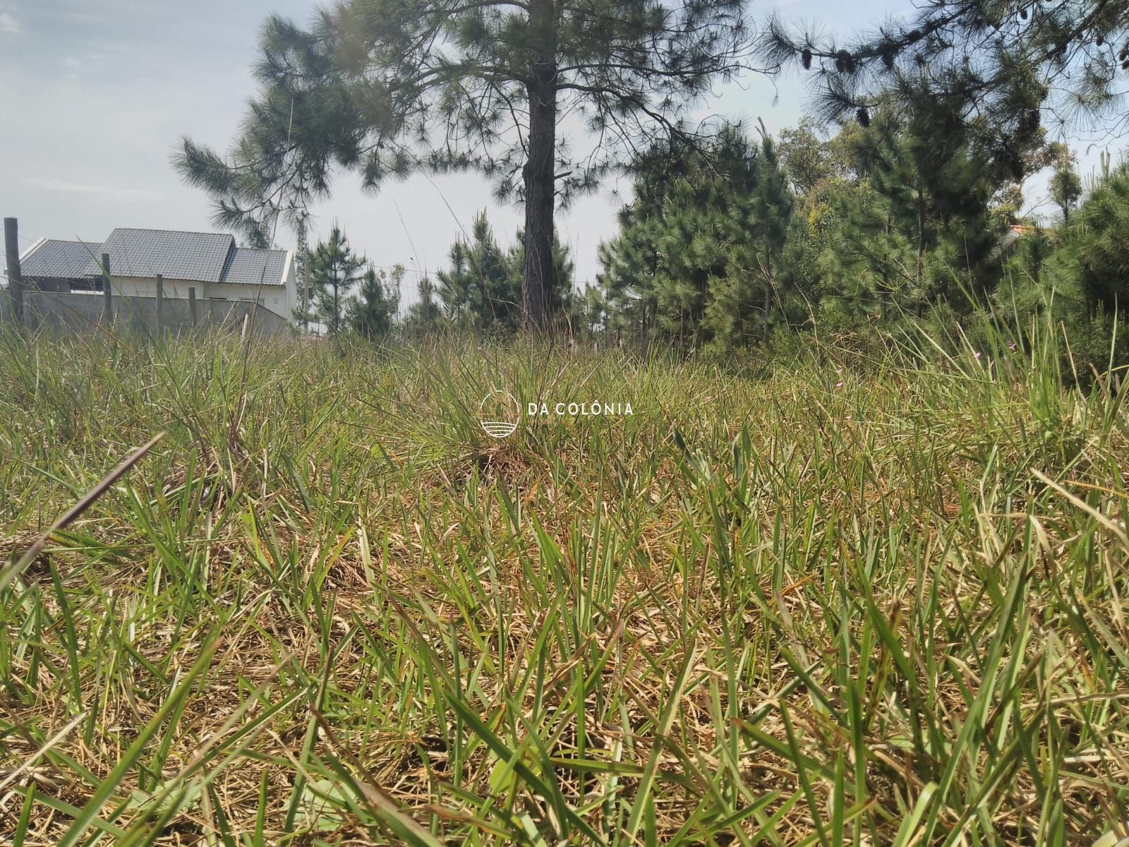 Terreno, 360 m² - Foto 2