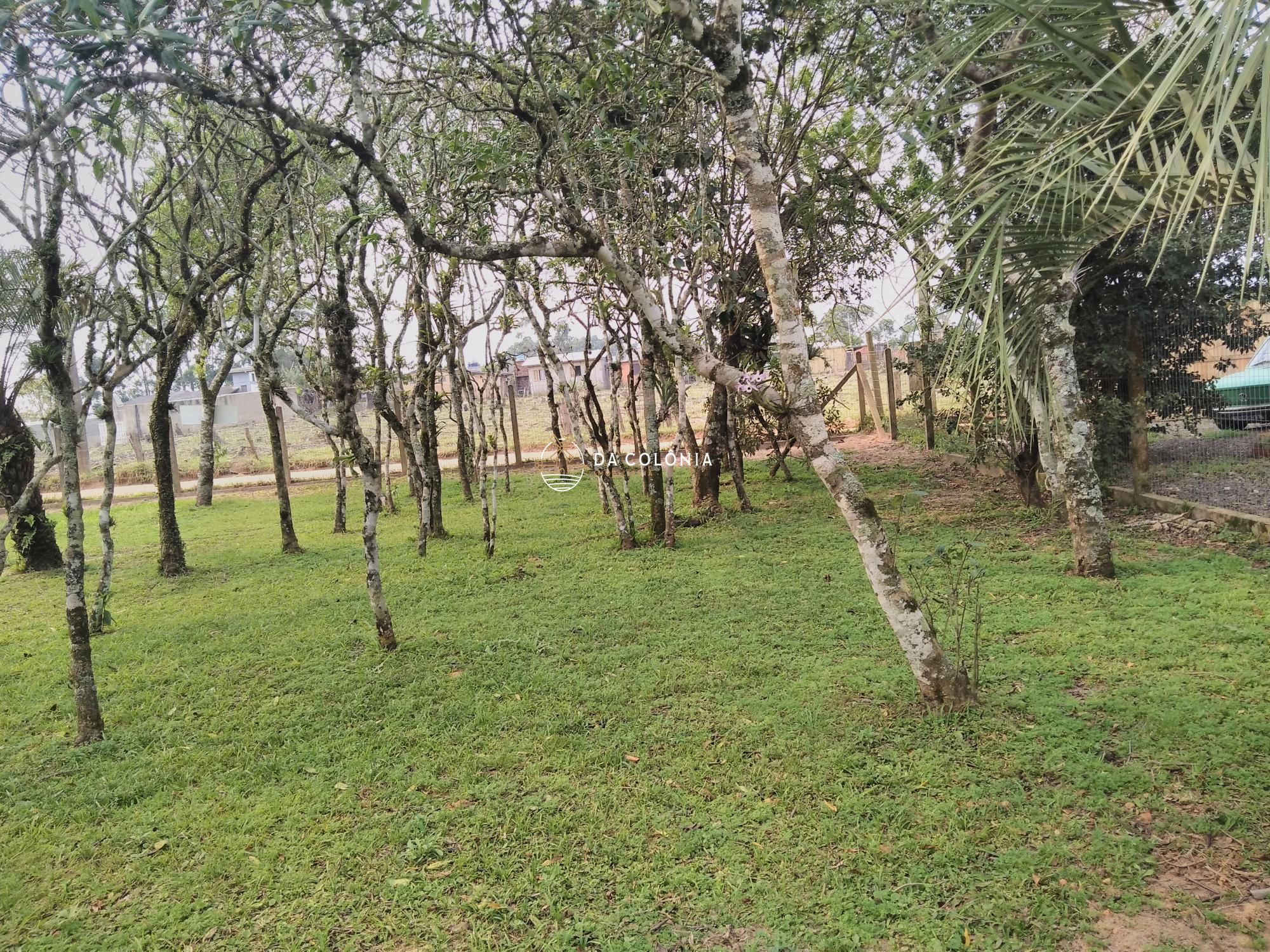 Sítio, 2 quartos, 3000 hectares - Foto 8