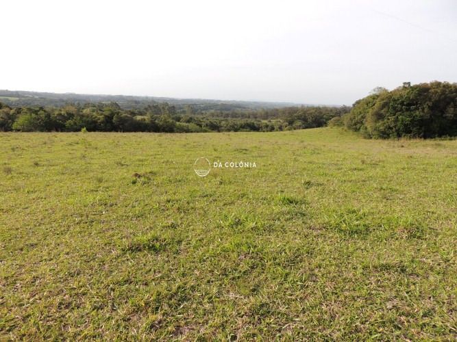 Fazenda, 190 hectares - Foto 10