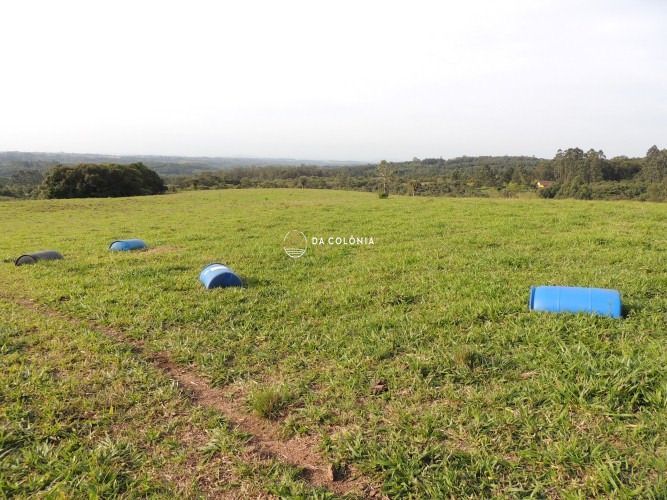 Fazenda, 190 hectares - Foto 12