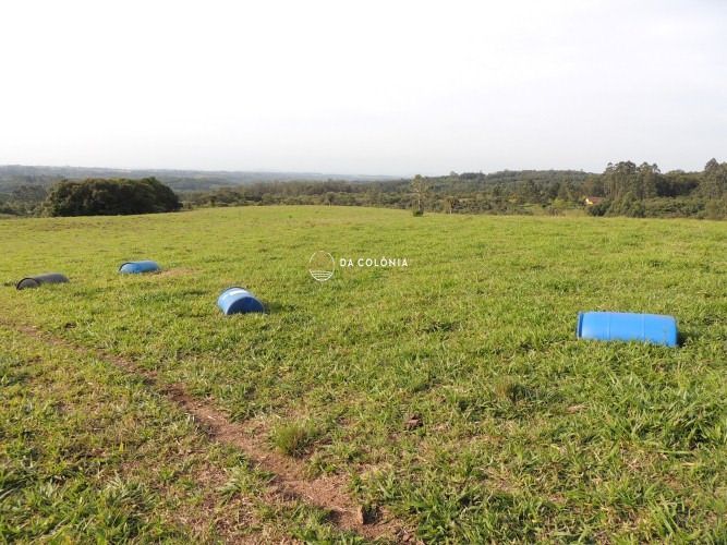 Fazenda à venda com 3 quartos, 1900000square metres - Foto 12