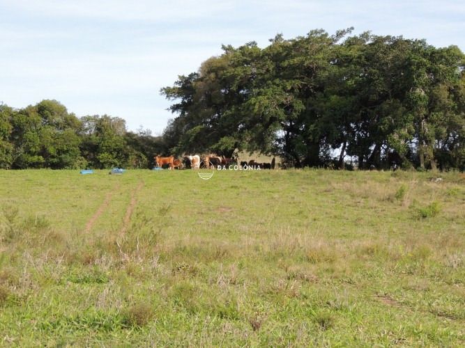 Fazenda, 190 hectares - Foto 20