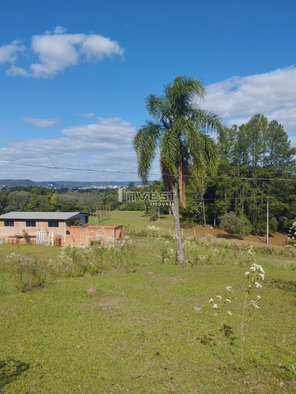 Fazenda à venda, 250000000m² - Foto 3