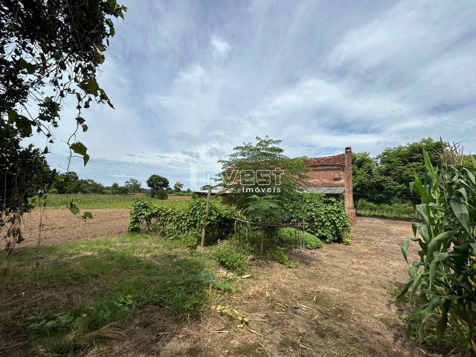 Fazenda/sítio/chácara/haras à venda  no Zona Rural - Passo do Sobrado, RS. Imóveis