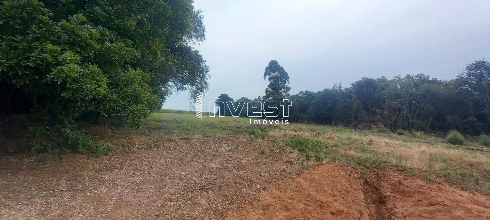 Chácara à venda com 2 quartos, 44000000000000m² - Foto 3