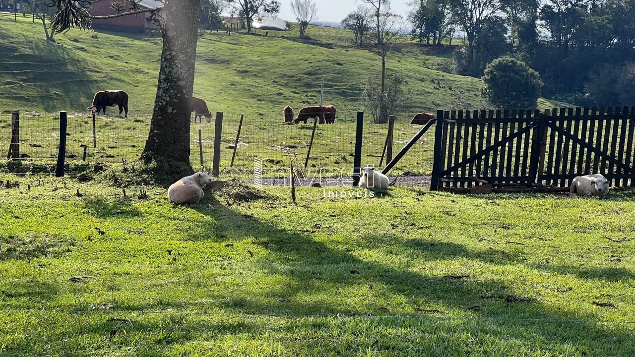 Fazenda à venda com 3 quartos, 190m² - Foto 47