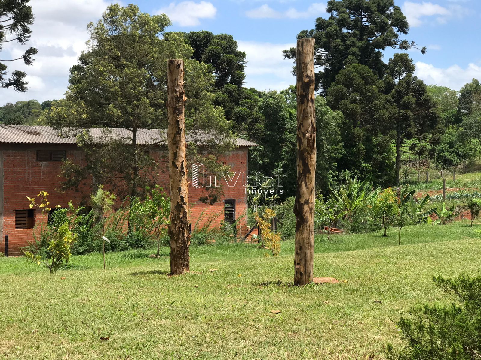 Fazenda à venda com 3 quartos, 190m² - Foto 10