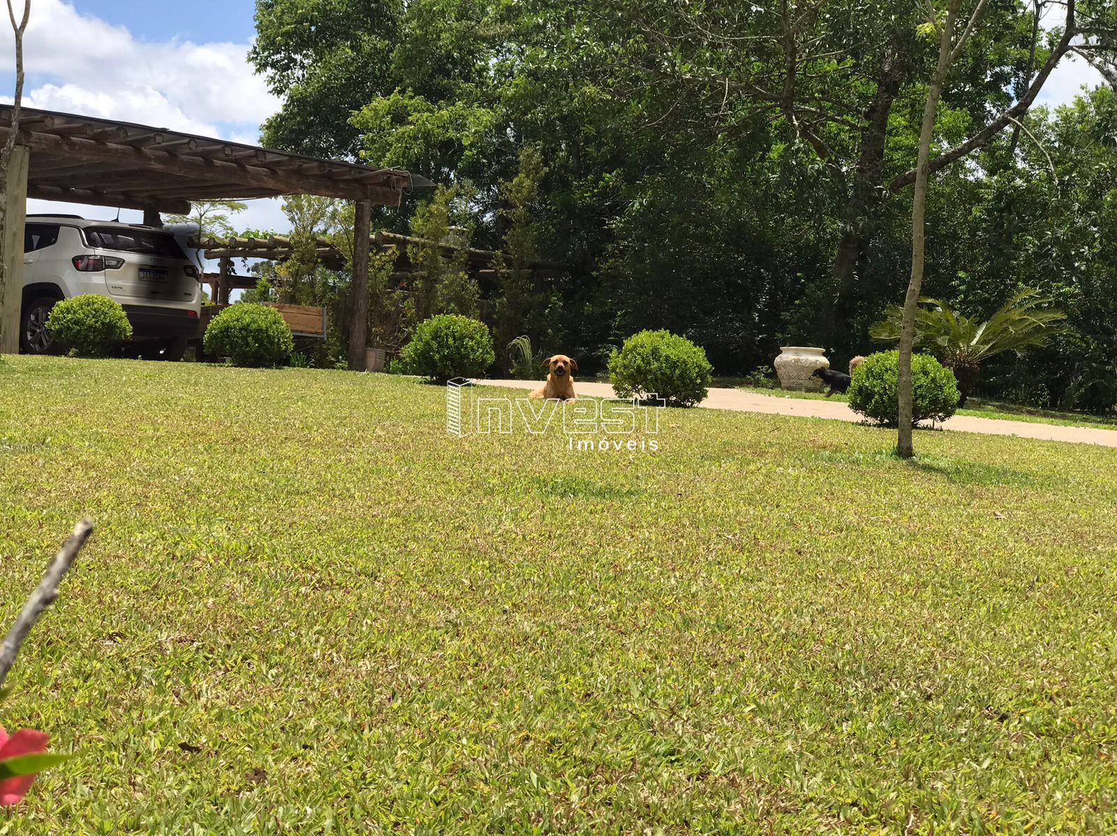 Chácara, 3 quartos, 25000 hectares - Foto 17