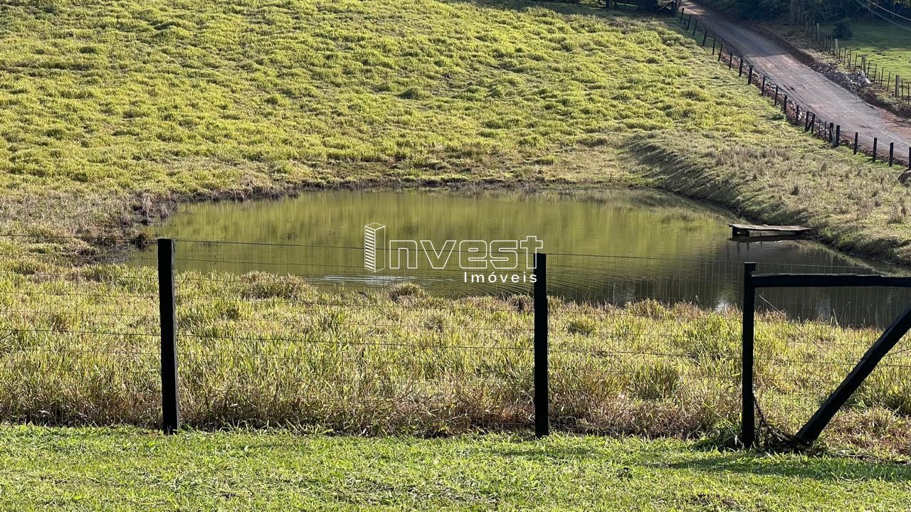 Fazenda à venda com 3 quartos, 190m² - Foto 53