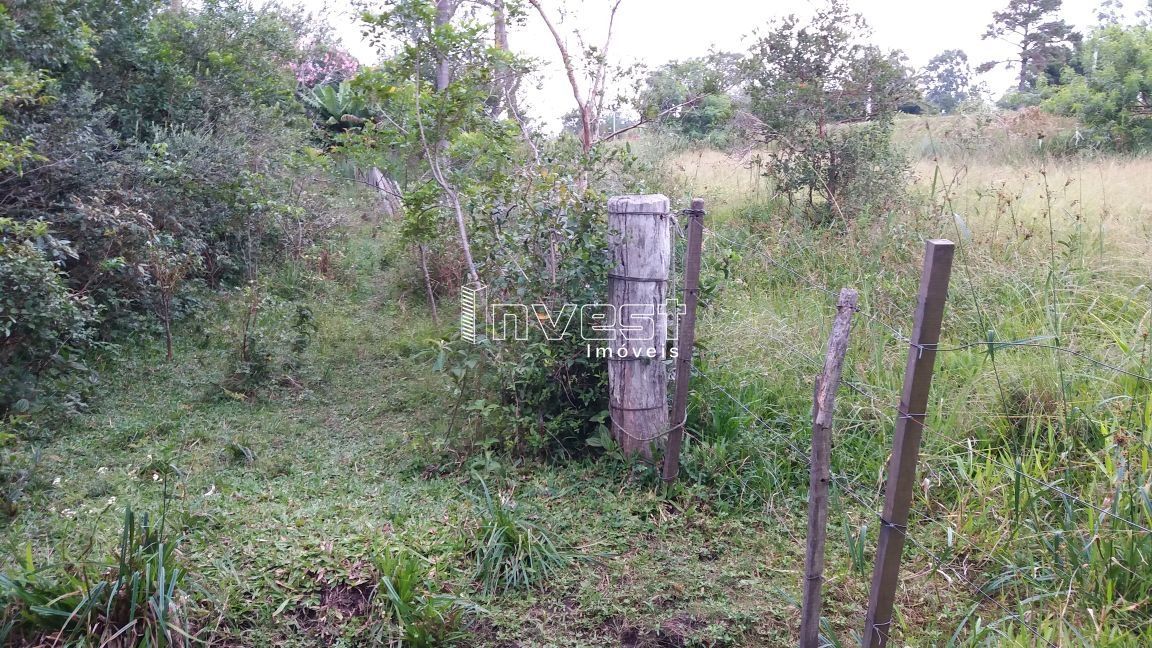 Fazenda-Sítio-Chácara, 7 hectares - Foto 3