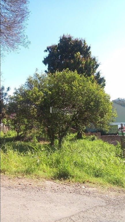 Terreno, 240 m² - Foto 1