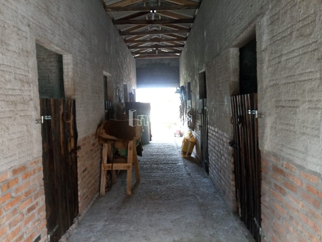 Chácara à venda com 4 quartos, 200000000m² - Foto 14