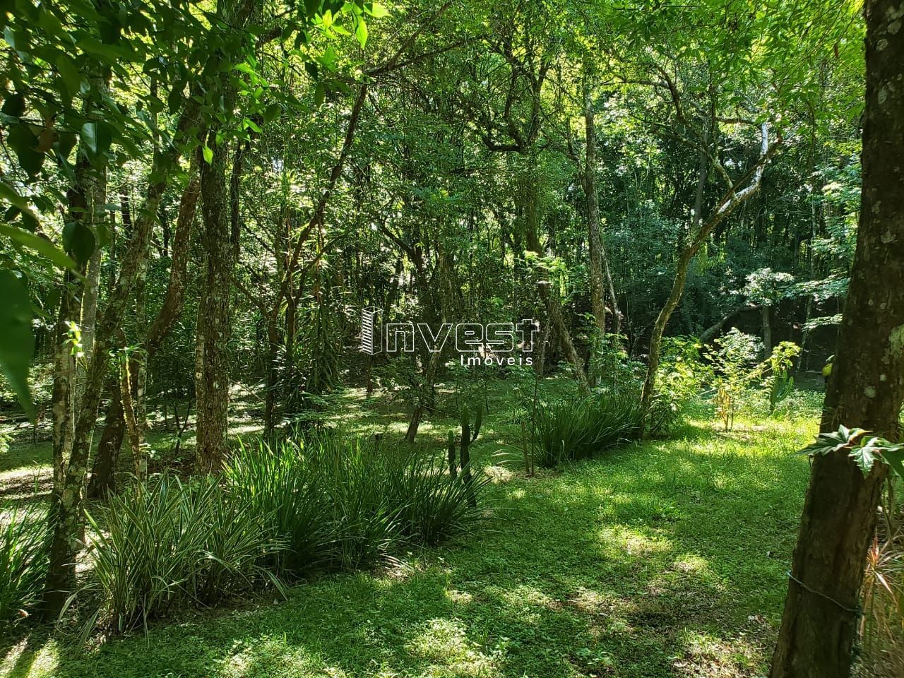 Terreno/Lote  venda  no Entrada Rio Pardinho - Santa Cruz do Sul, RS. Imveis