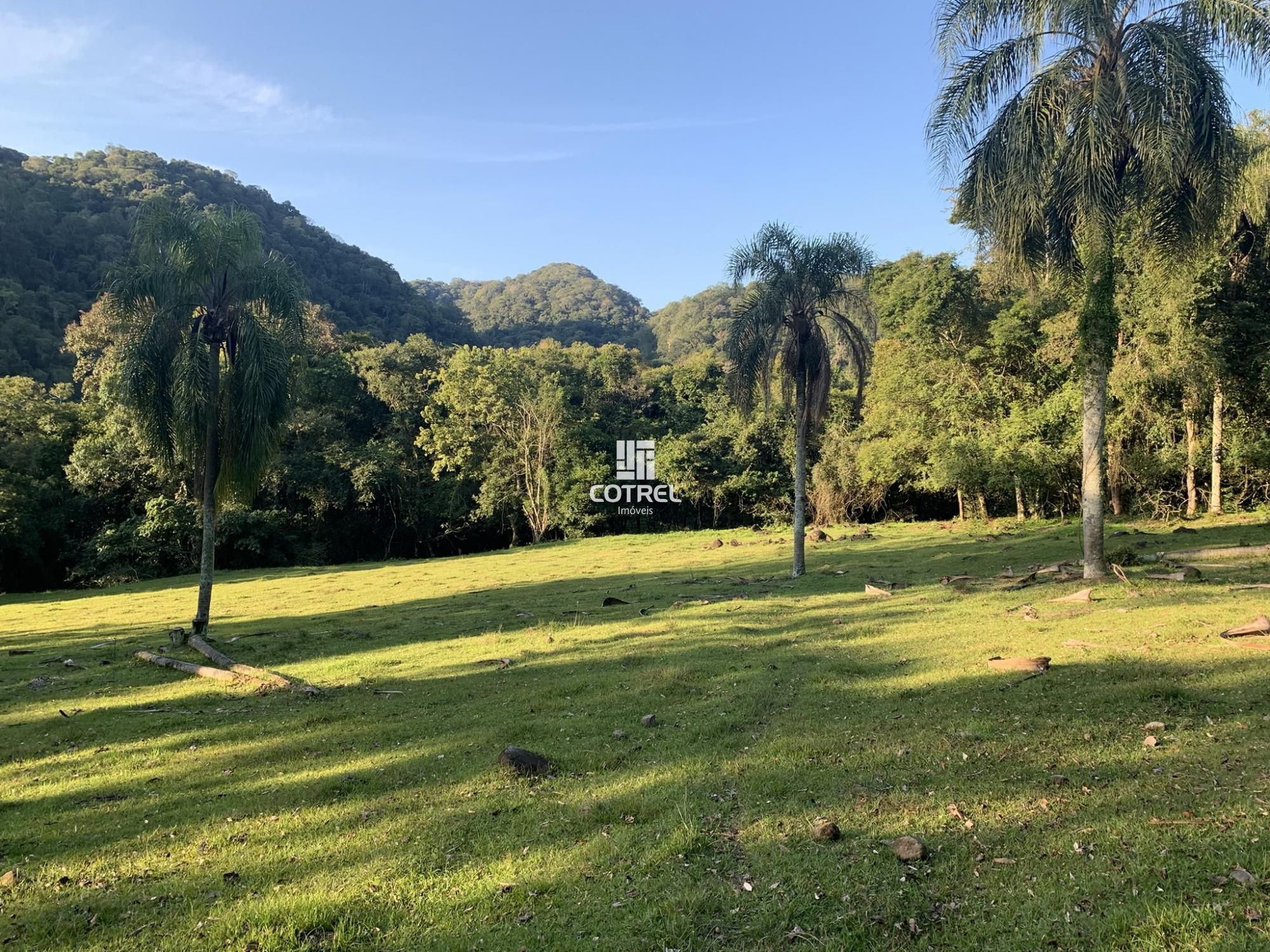 Chácara com 57.5 hectares na zona rural de Silveira Martins/ RS
