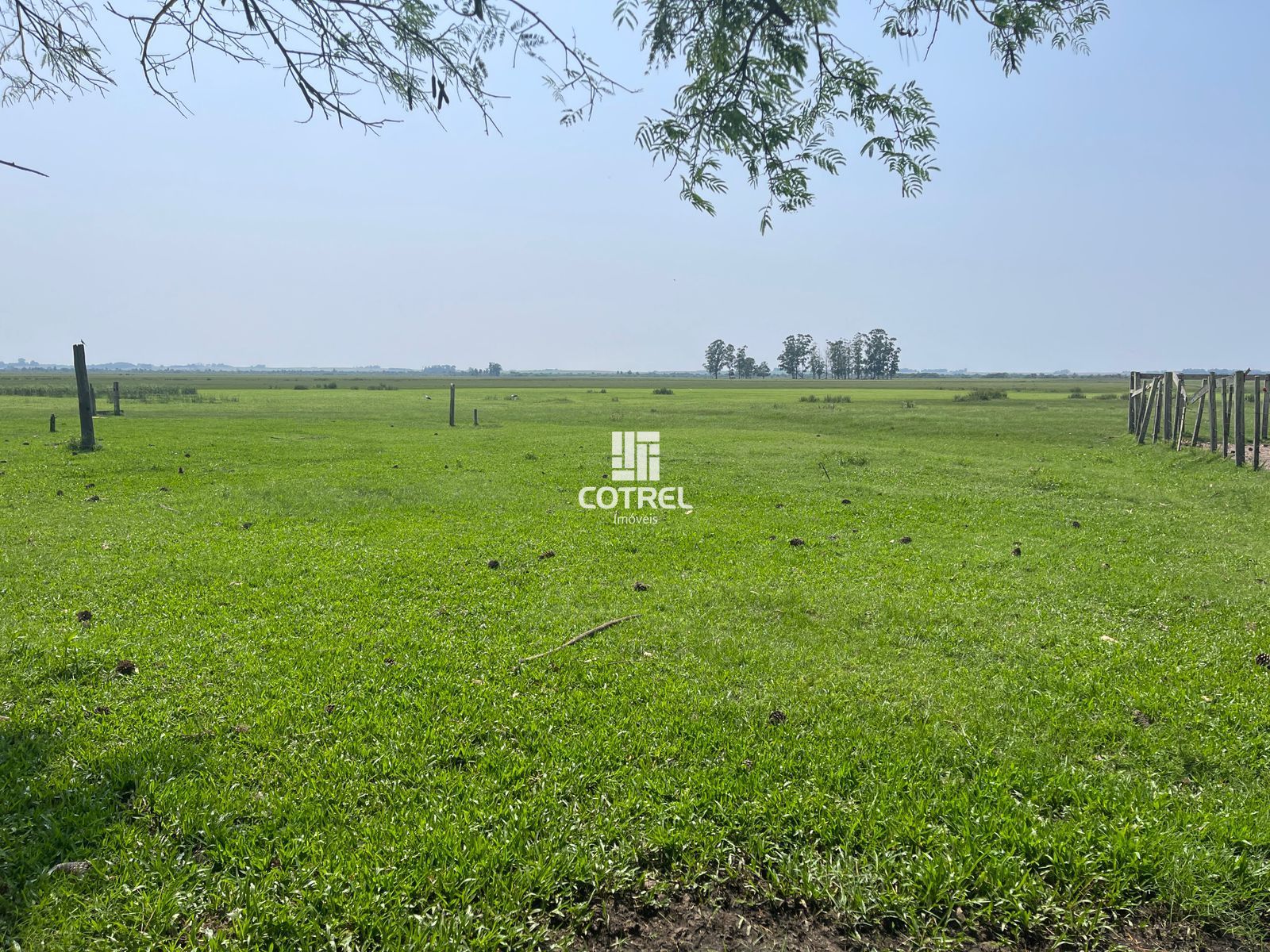 Fazenda para venda com 217 ha localizada na cidade de Sant'Ana do Livramento/RS.