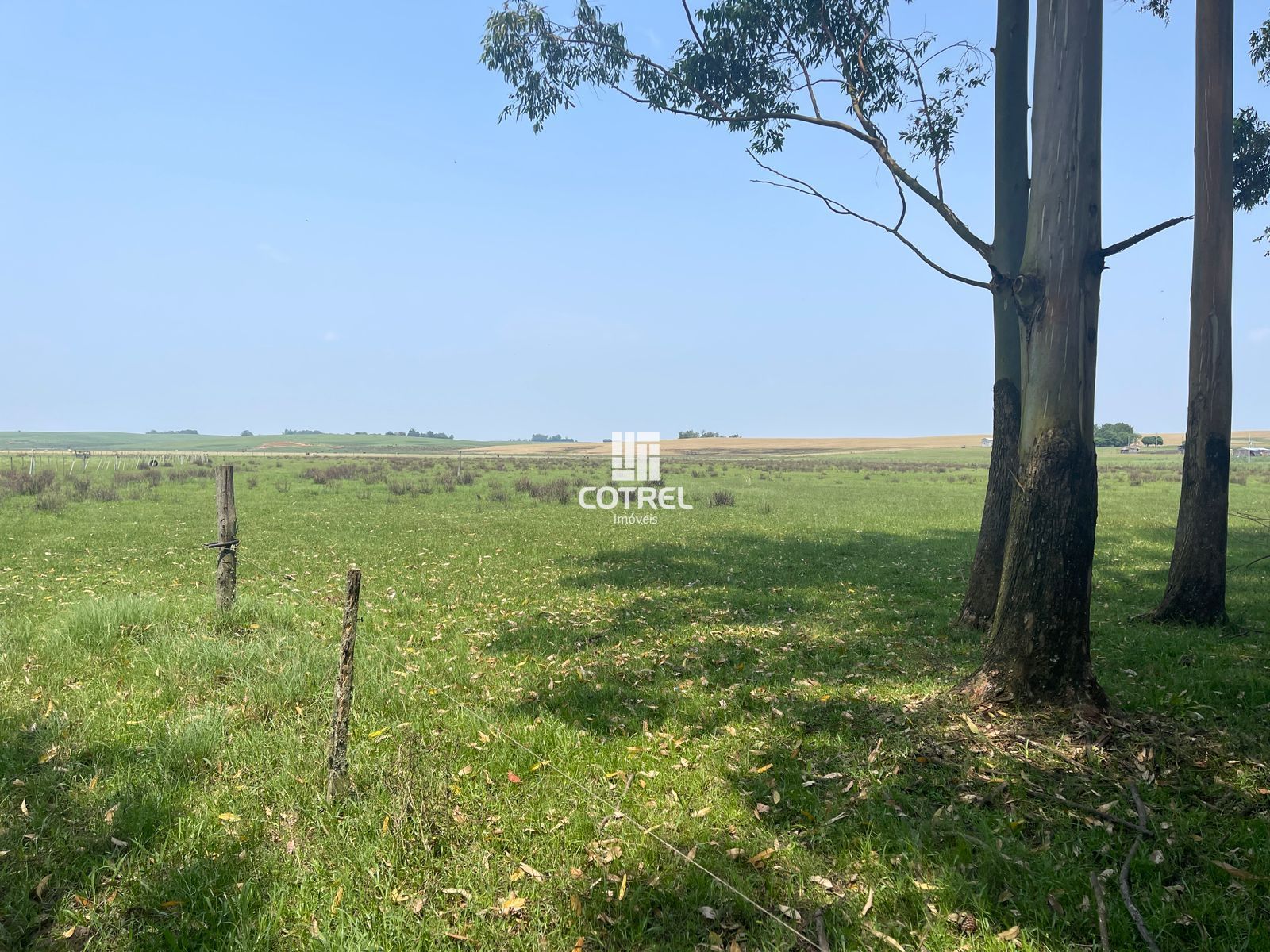 Fazenda para venda com 217 ha localizada na cidade de Sant'Ana do Livramento/RS.