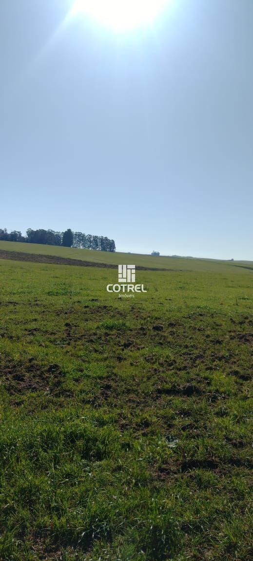 Campo para venda 28,5 hectares situado na cidade de Santa Maria/RS.