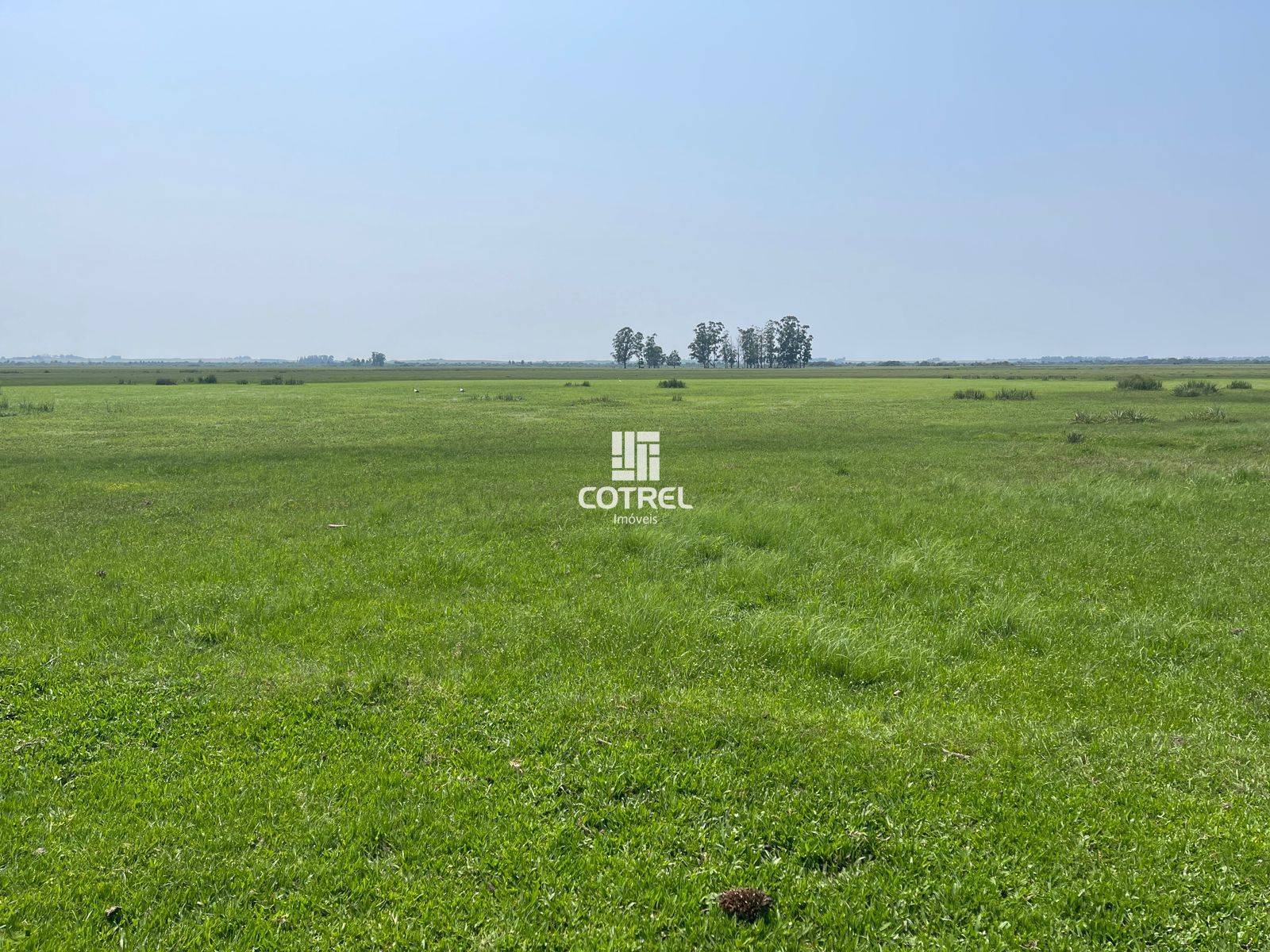 Fazenda para venda com 217 ha localizada na cidade de Sant'Ana do Livramento/RS.