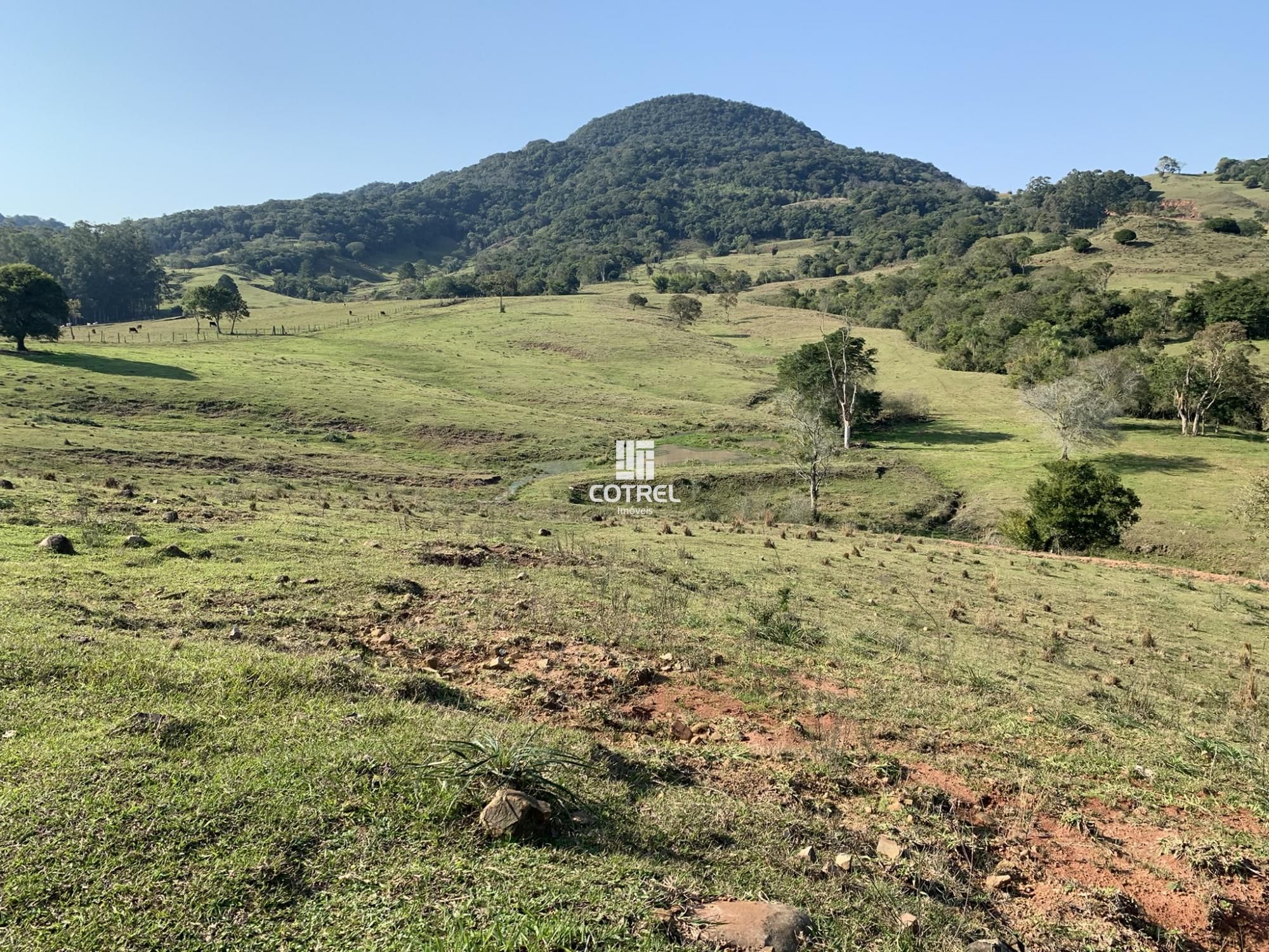Campo 48 ha na zona rural de Dona Francisca/RS