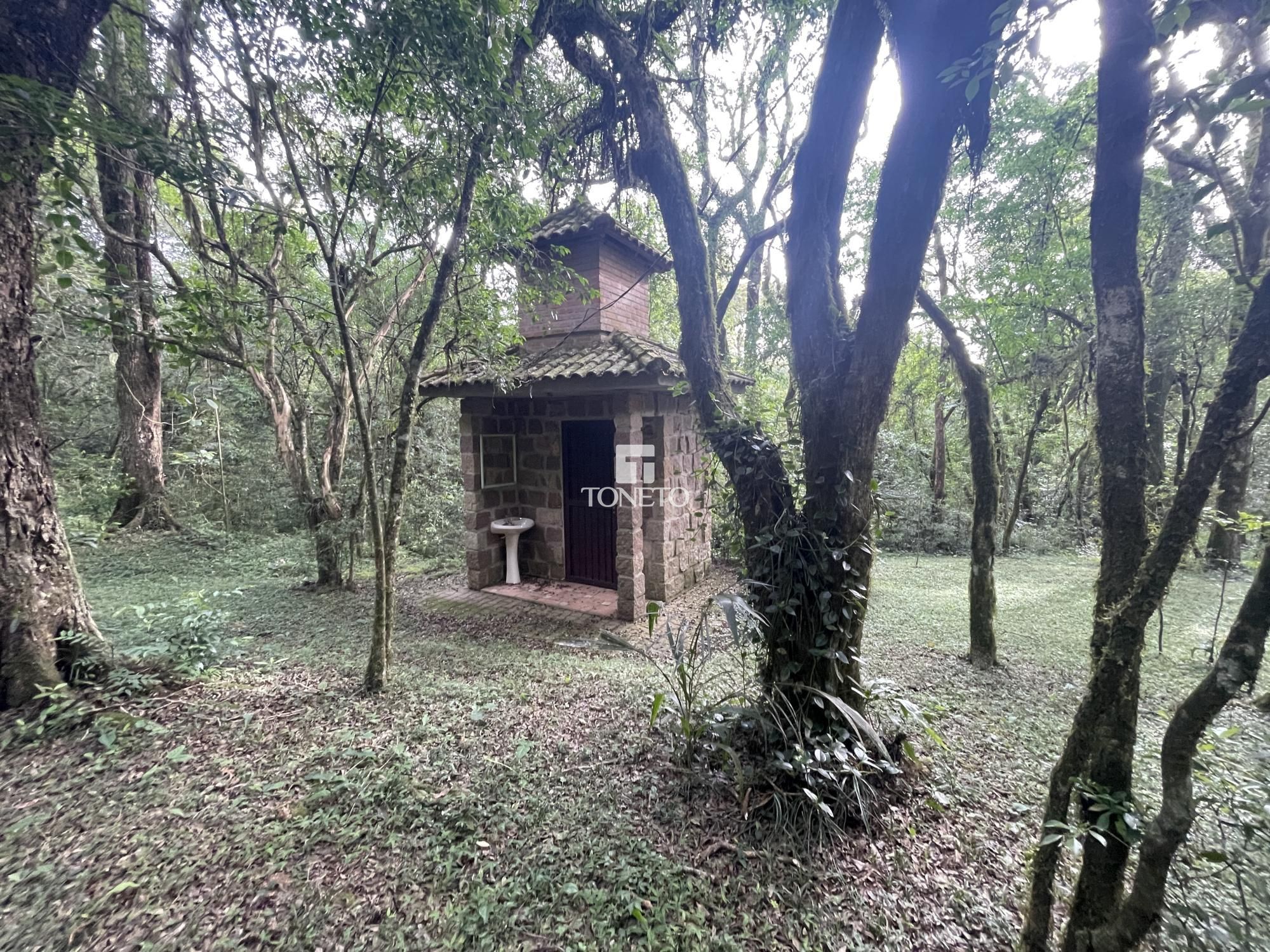 Sítio à venda com 5 quartos, 500m² - Foto 36