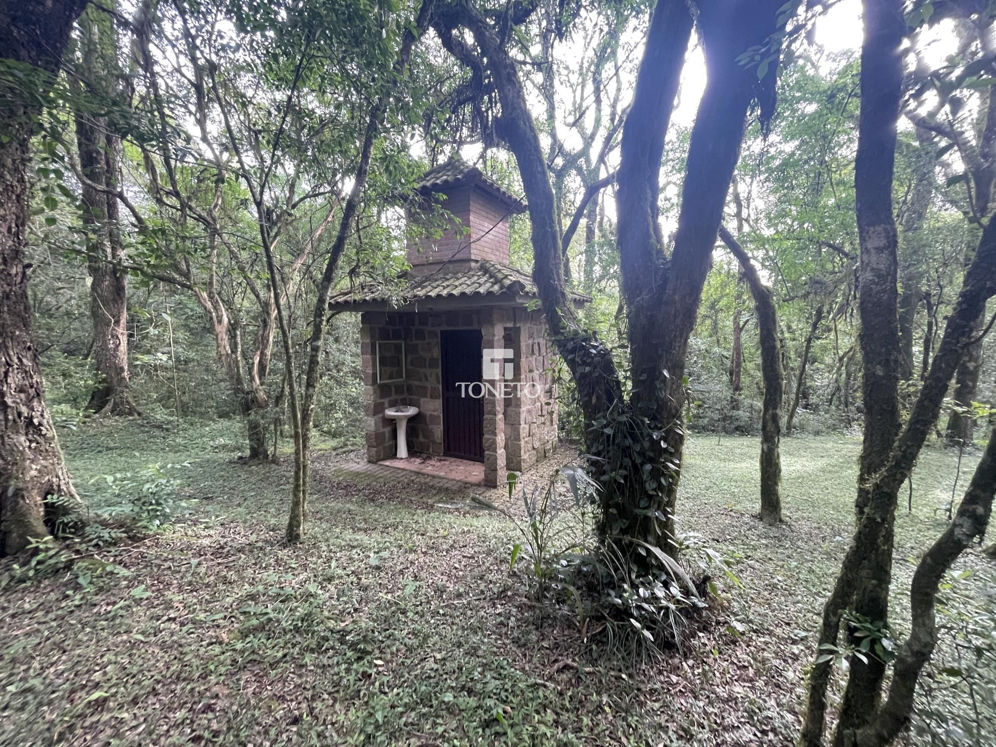 Fazenda à venda com 5 quartos, 500m² - Foto 36