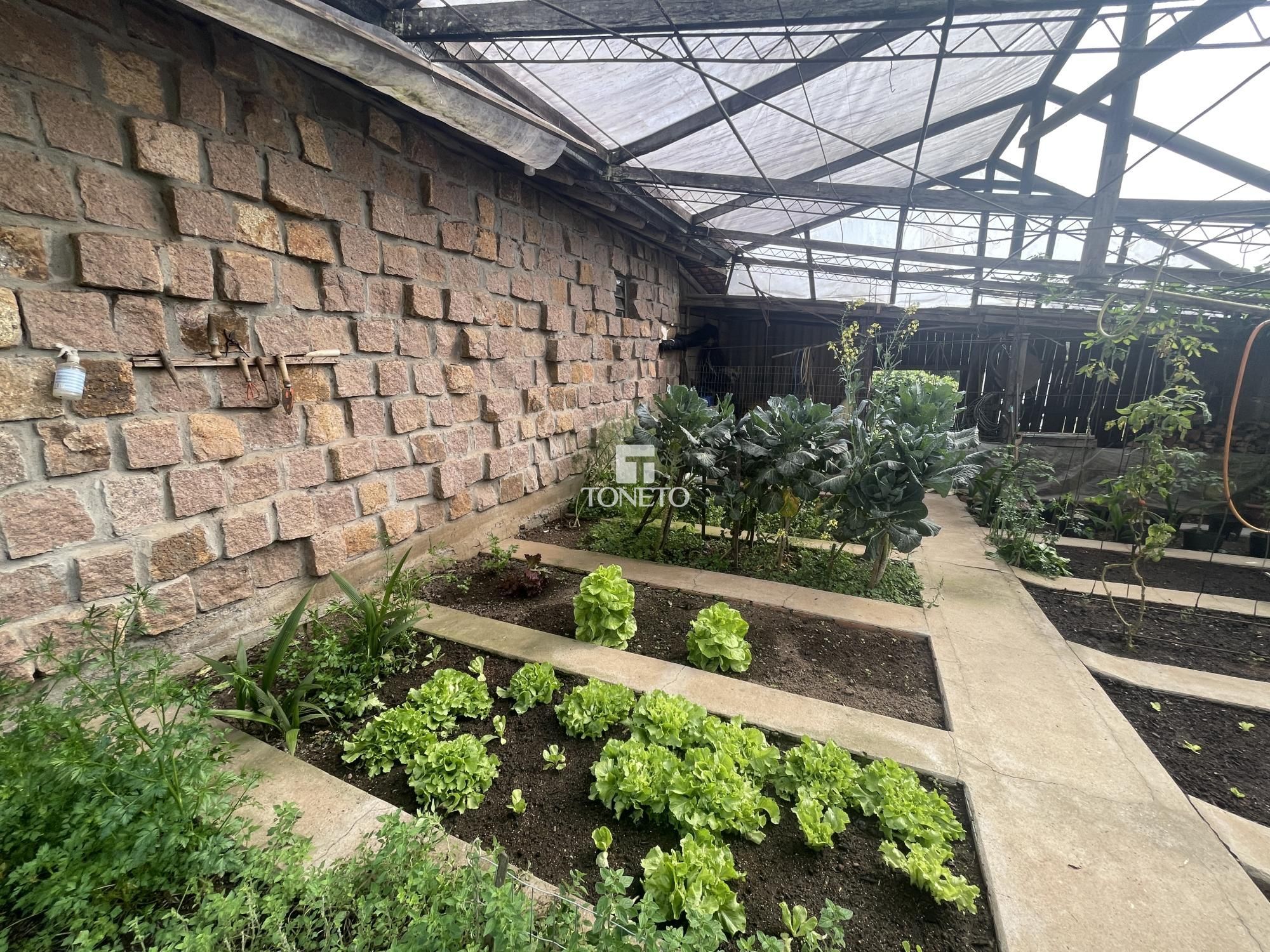 Sítio à venda com 5 quartos, 500m² - Foto 30