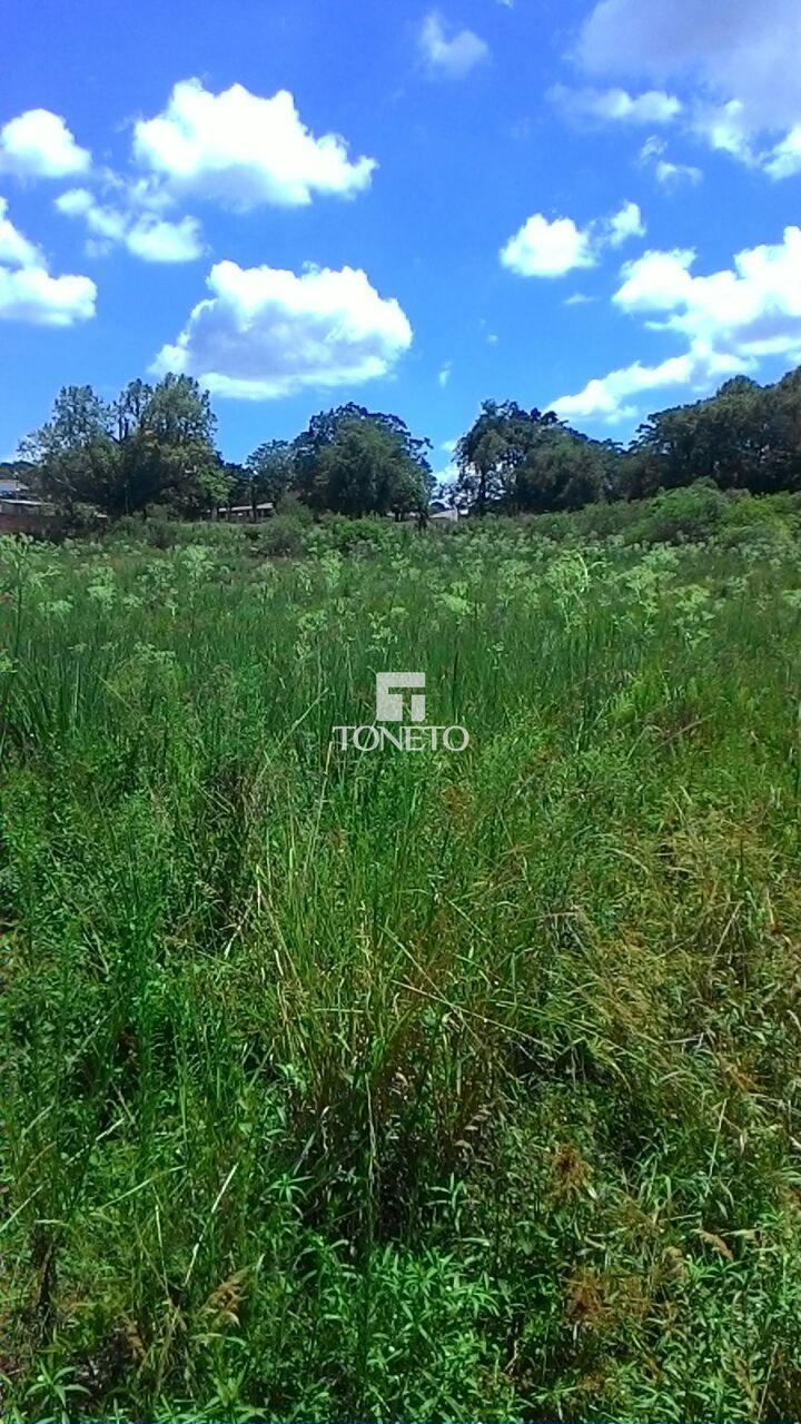Terreno à venda, 11252m² - Foto 6