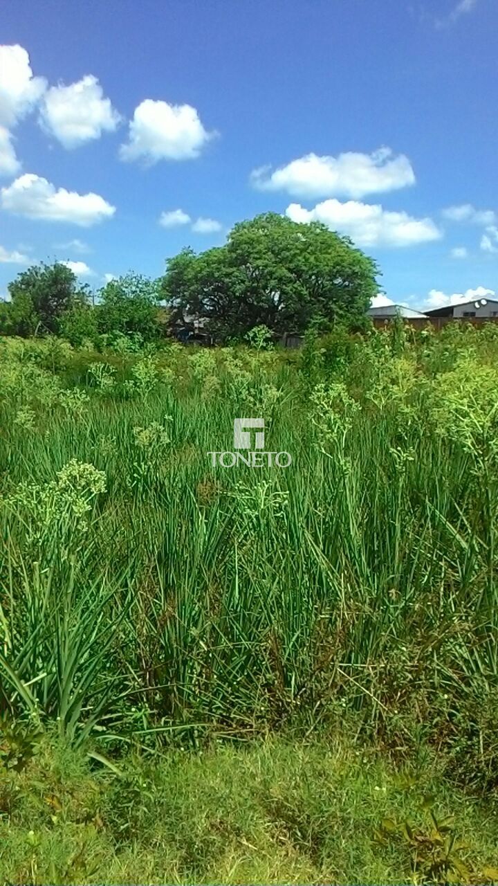 Terreno à venda, 11252m² - Foto 5