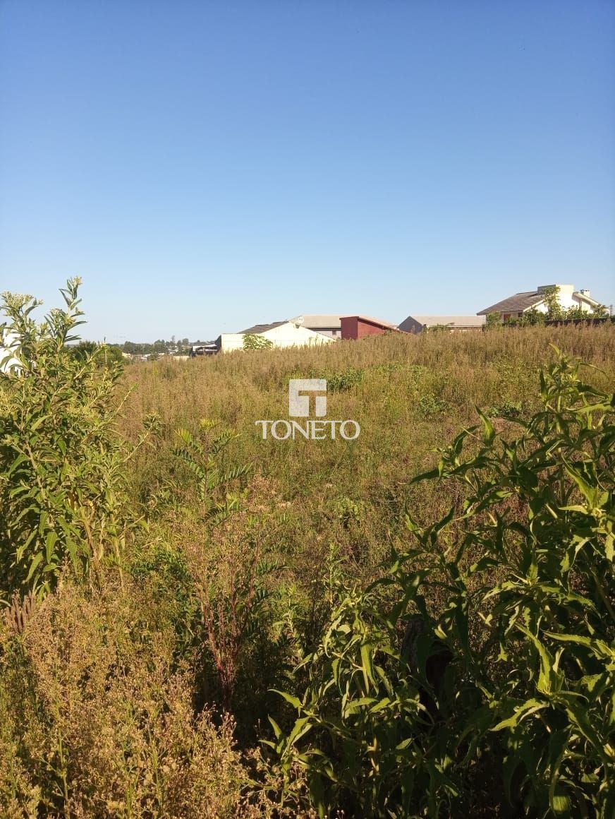 Terreno, 625 m² - Foto 1