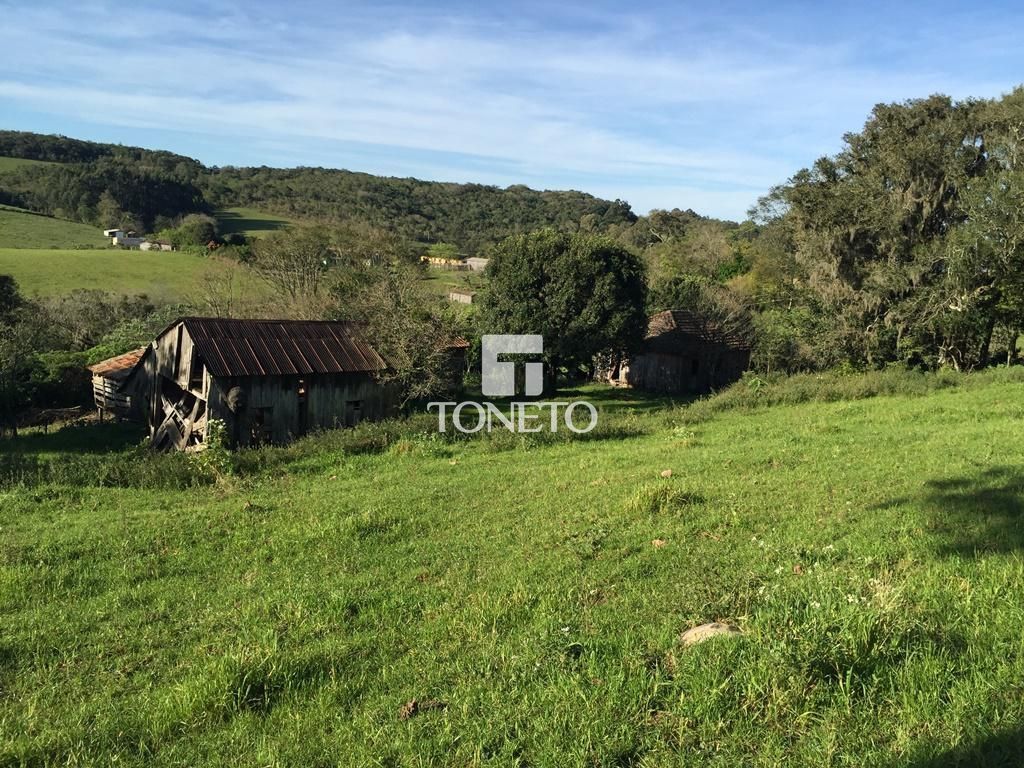 Sítio à venda, 11m² - Foto 9
