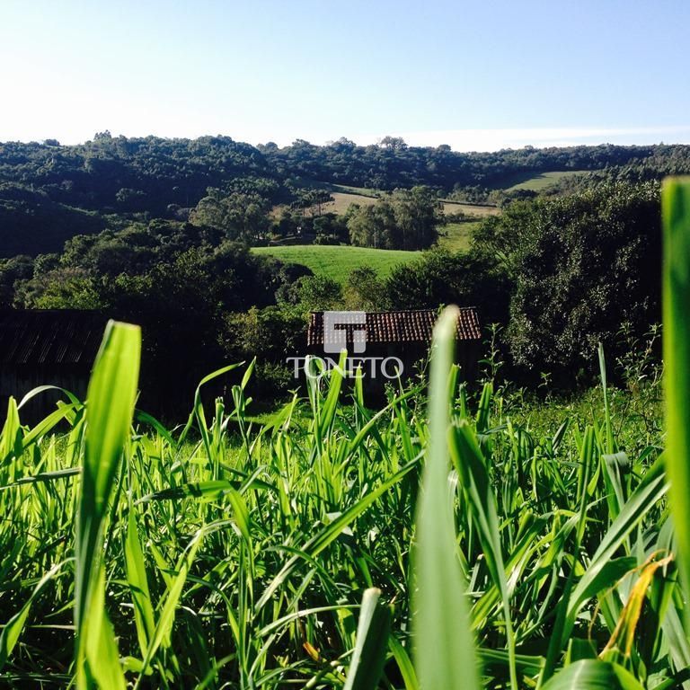 Fazenda à venda, 11m² - Foto 8