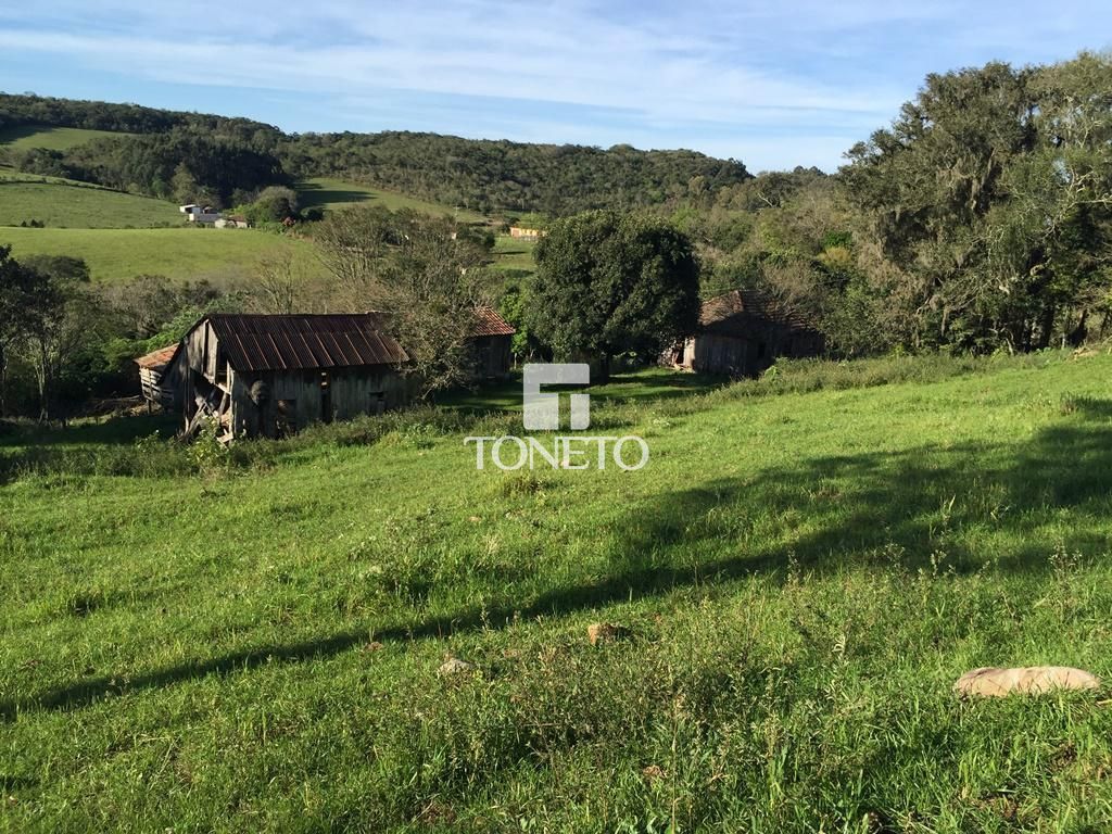 Sítio à venda, 11m² - Foto 11