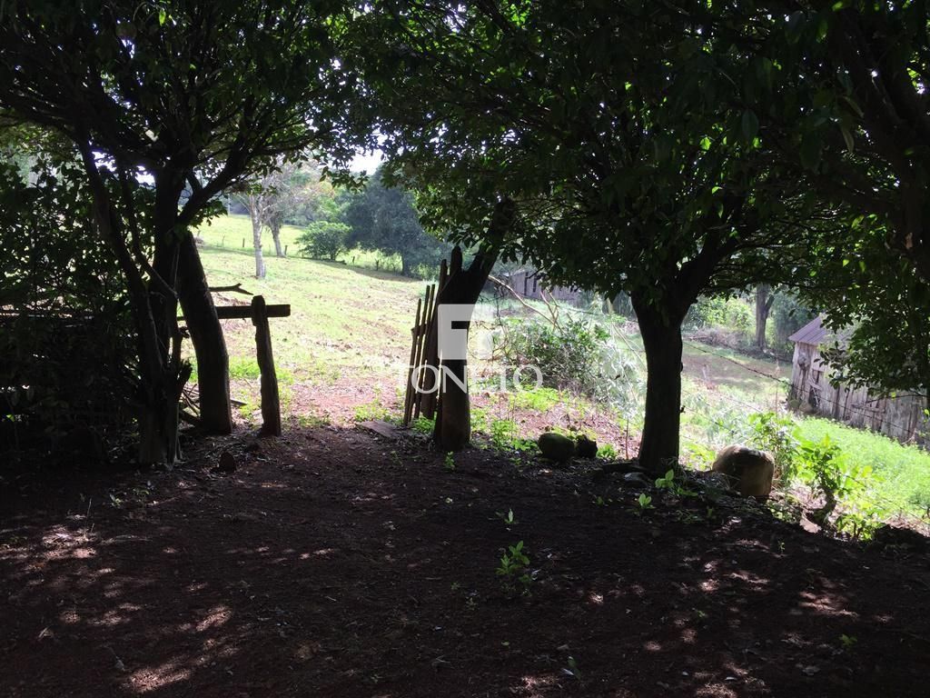 Fazenda à venda, 11m² - Foto 6