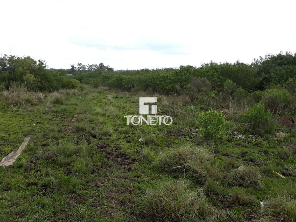 Loteamento e Condomínio à venda, 30000m² - Foto 1