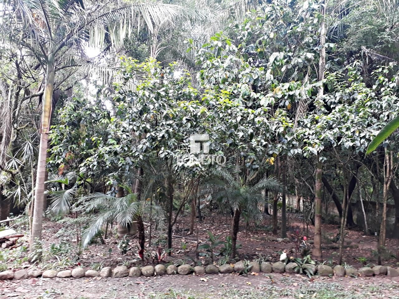 Casa, 3 quartos, 112 m² - Foto 10