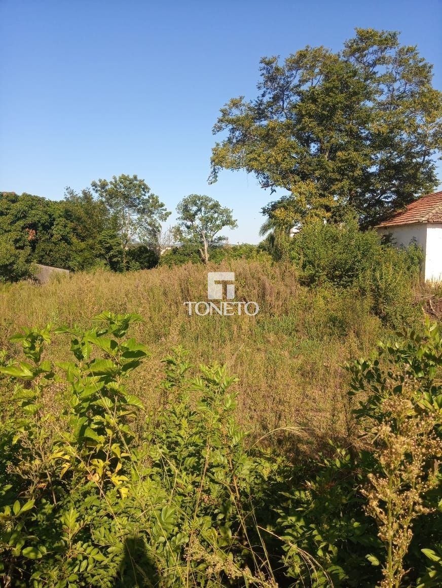 Terreno, 1250 m² - Foto 4