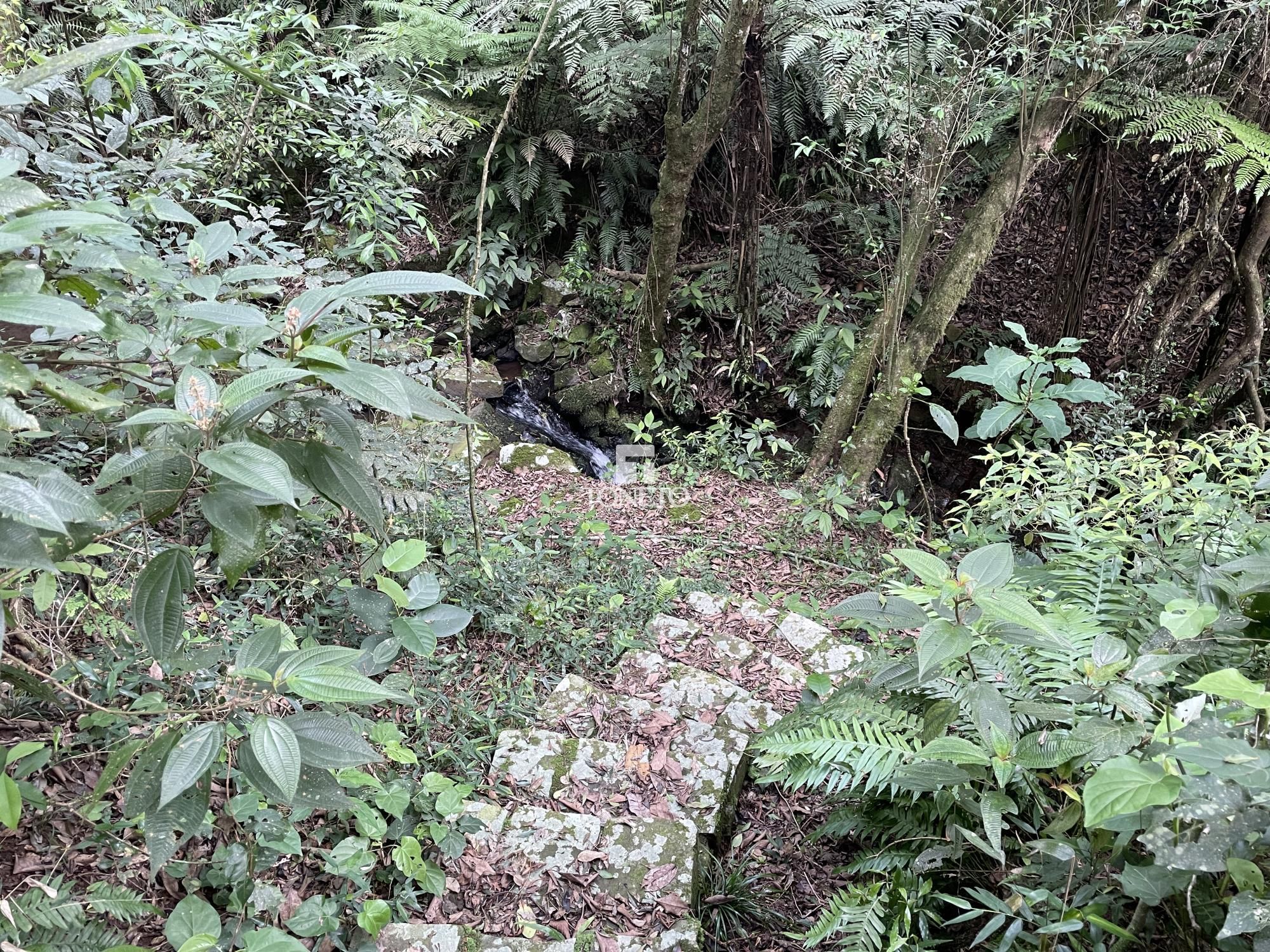 Sítio à venda com 5 quartos, 500m² - Foto 37