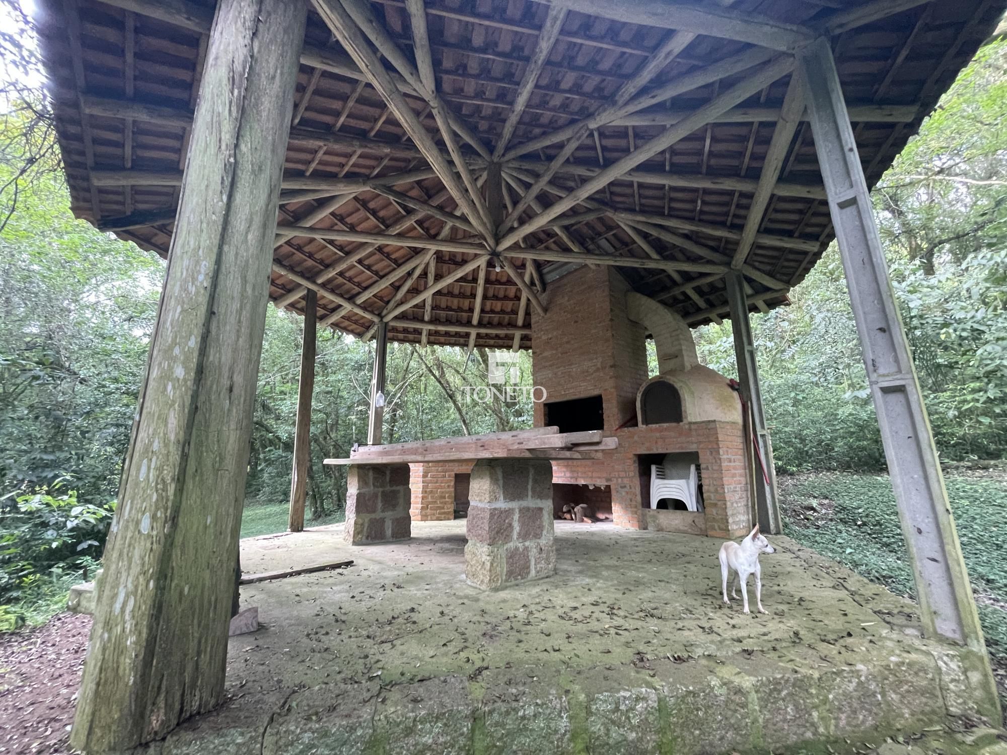 Sítio à venda com 5 quartos, 500m² - Foto 33
