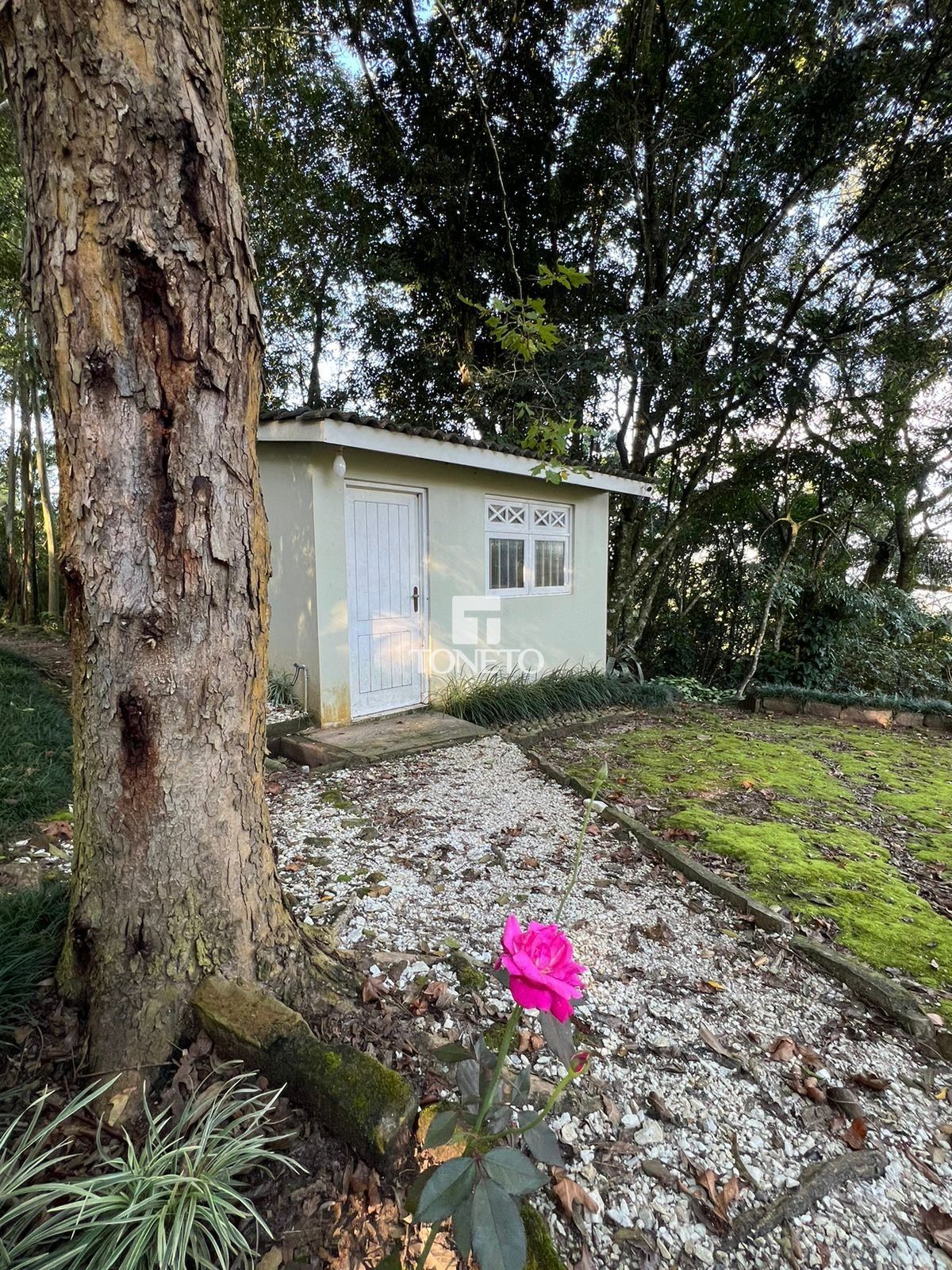 Fazenda à venda com 3 quartos, 800000000m² - Foto 20