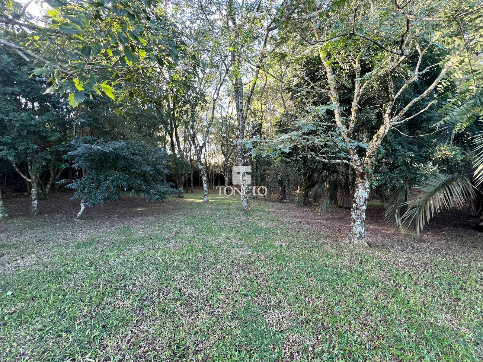 Fazenda à venda com 3 quartos, 800000000m² - Foto 23