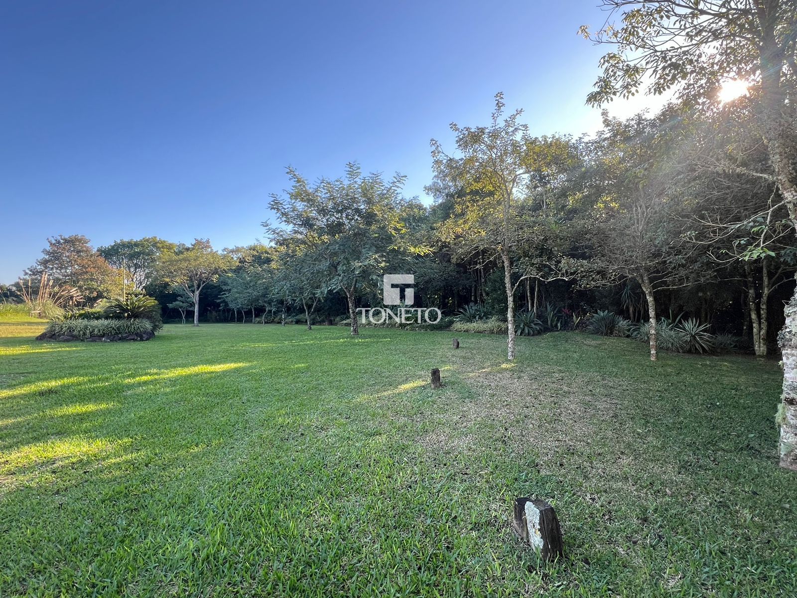 Fazenda à venda com 3 quartos, 800000000m² - Foto 25