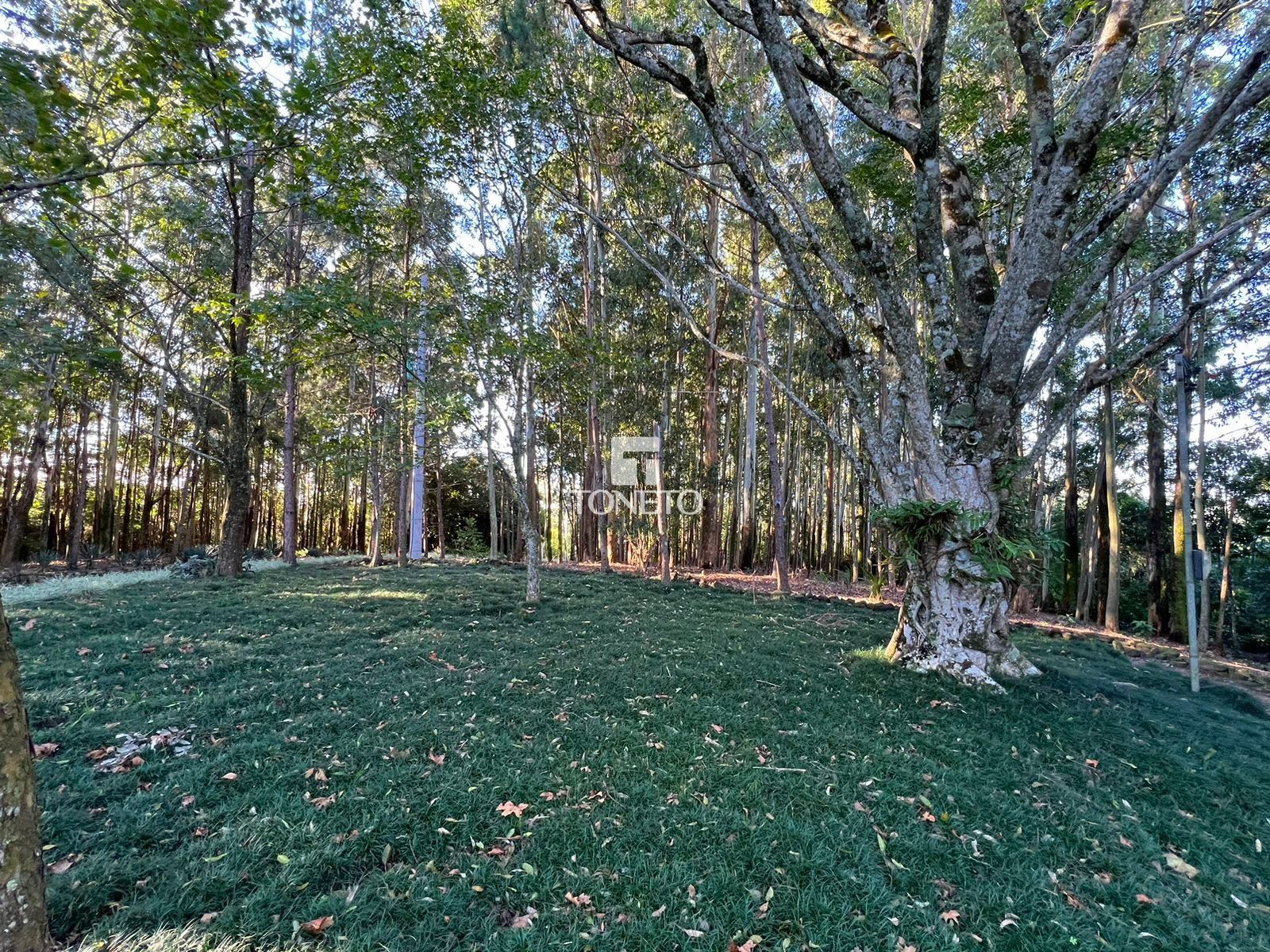 Fazenda à venda com 3 quartos, 800000000m² - Foto 26