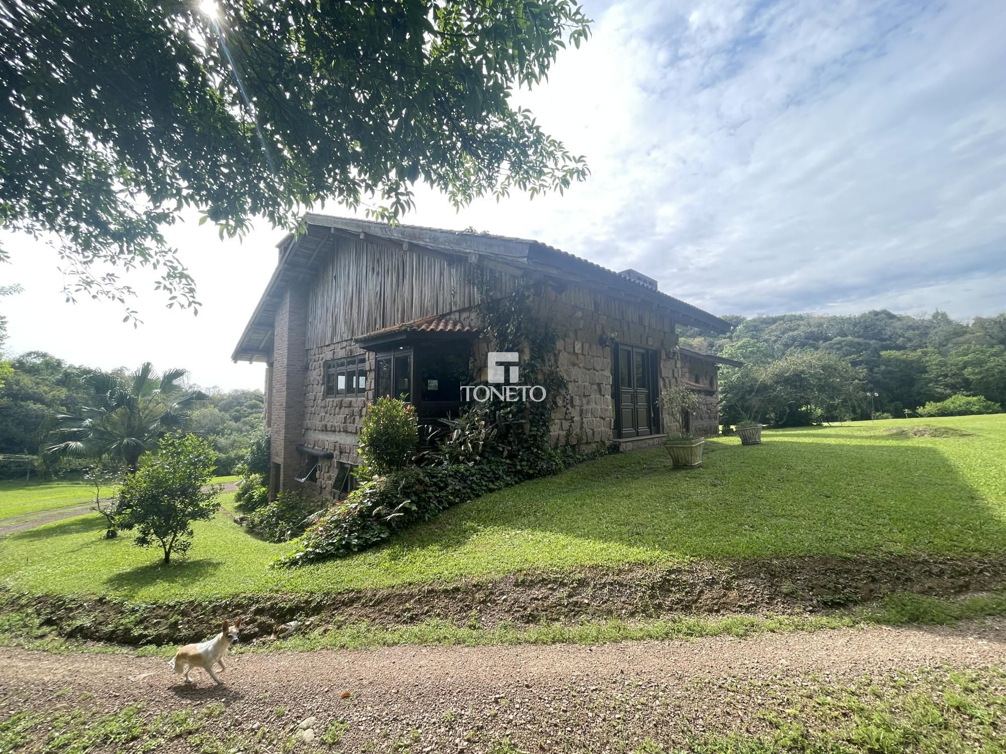 Fazenda à venda com 5 quartos, 500m² - Foto 6