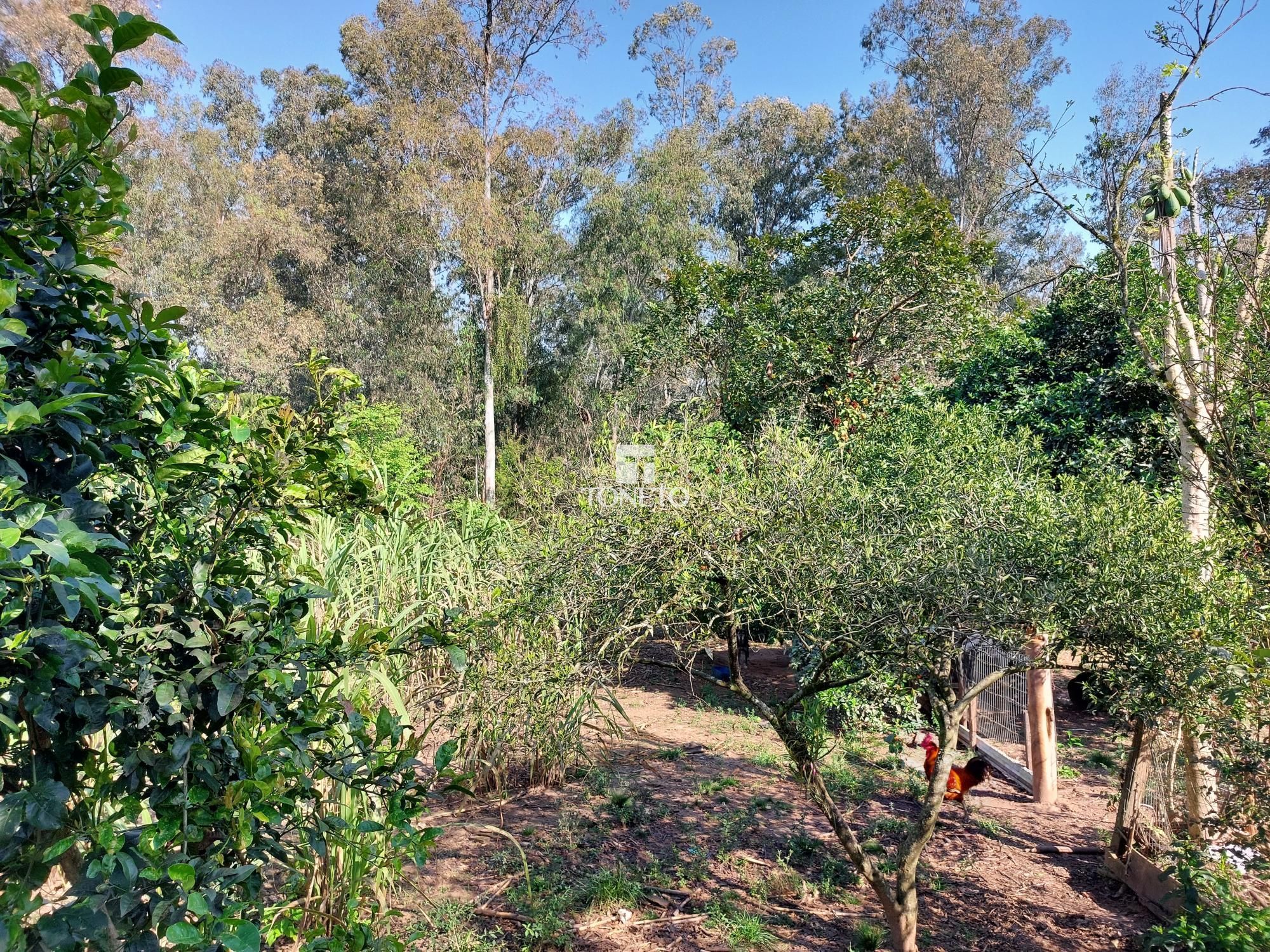 Terreno, 720 m² - Foto 4