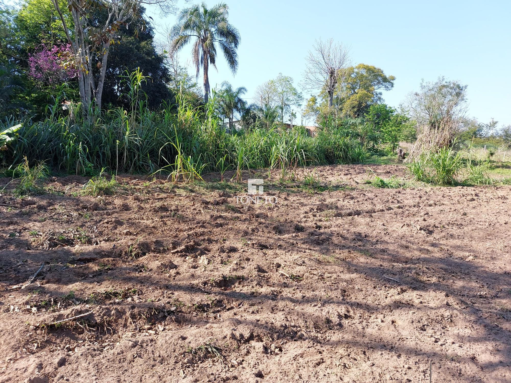 Terreno à venda, 720m² - Foto 3