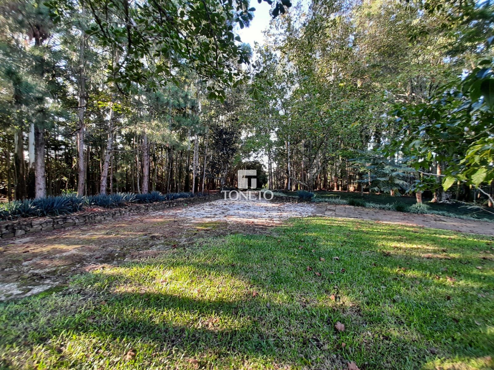 Fazenda à venda com 3 quartos, 800000000m² - Foto 28