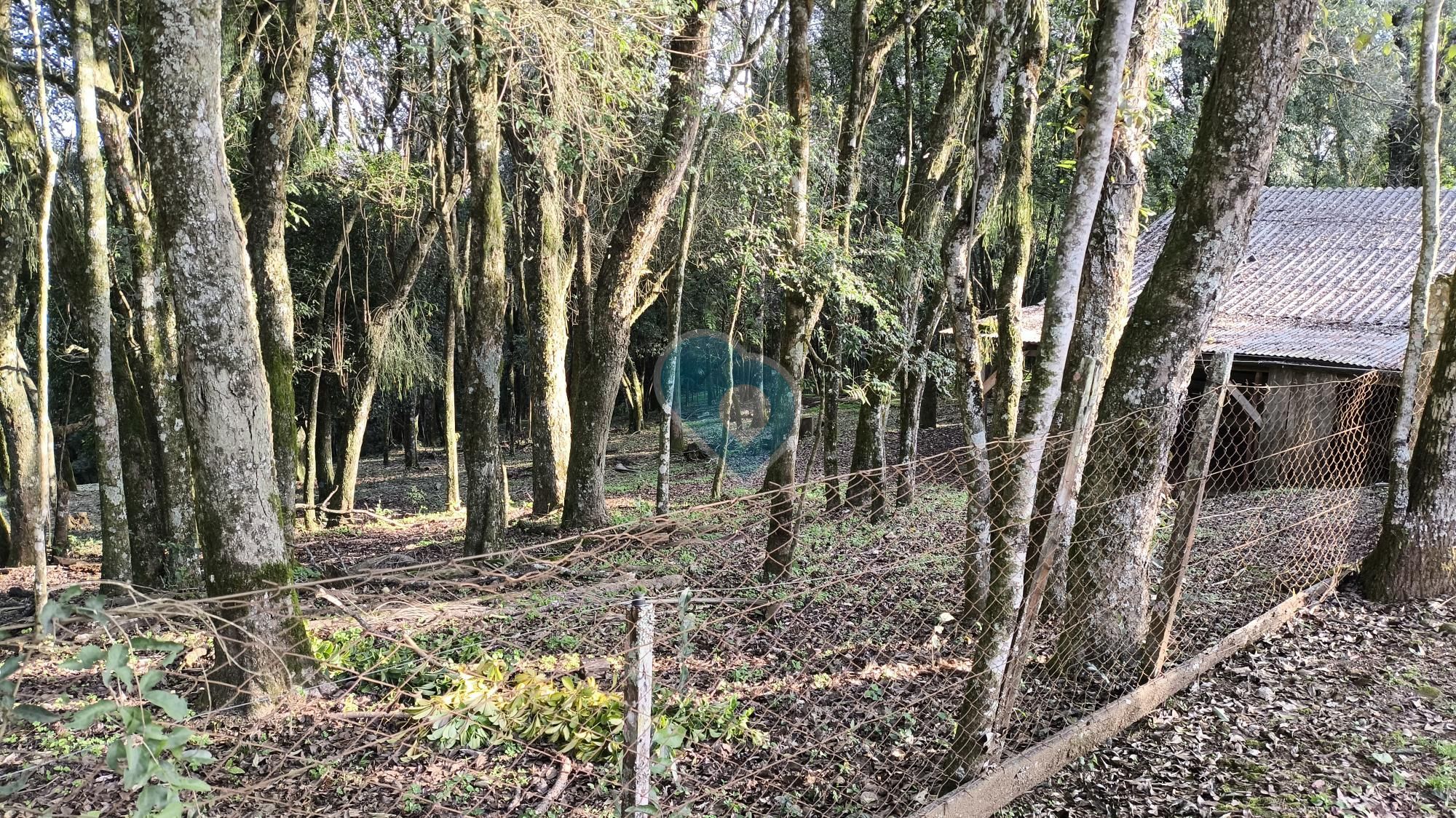 Chácara em Linha Áustria, Linha Santa Cruz, Santa Cruz do Sul - RS